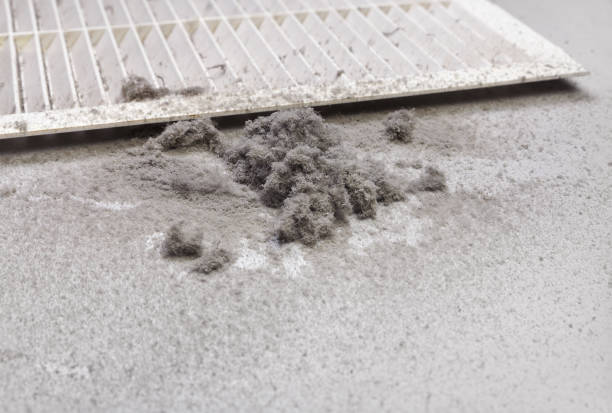 Best Commercial Air Duct Cleaning  in Twin City, GA