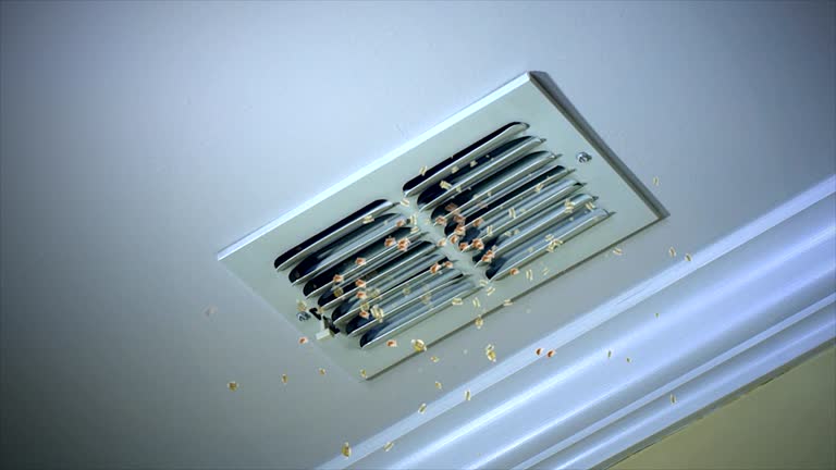 Best Air Duct Mold Removal  in Twin City, GA