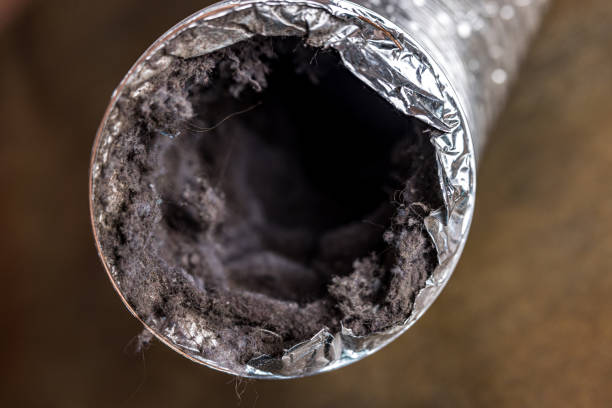 Best Best Air Duct Cleaning Near Me  in Twin City, GA